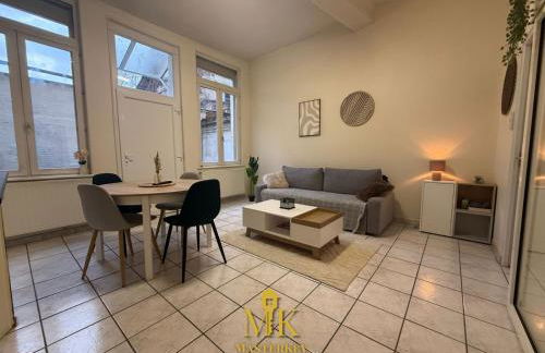 T2 Chic & Lumineux Bar-le-Duc Centre-Ville - Foto 16