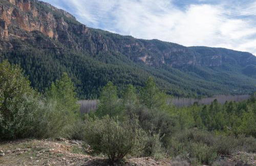 Casas Rurales El Portillo - Foto 52