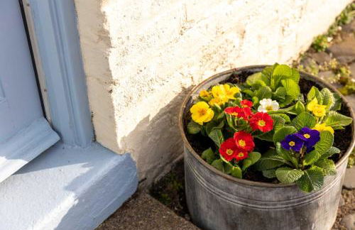 The Weights and Measures Office - Foto 20