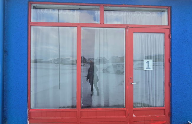 Reykjanes Guesthouse - Foto 55