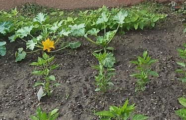 HAUT VILLA MESANGES EN BORD DE MER ! - Foto 75