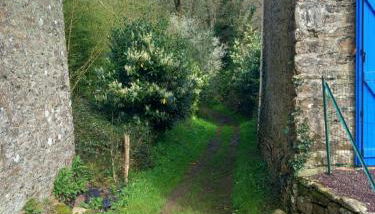 Charmante maison au calme - Foto 2, Garden