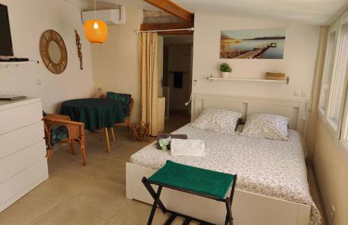 Petite étoile de Mer - Studio hyper équipé à 150m d'une plage de sable fin grande terrasse presqu'île de charme - Photo 1