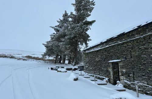 Wild boar barn - Foto 6