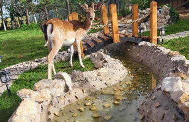 Apartment Dado - Foto 44