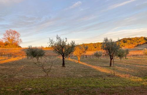 Les Saffres - gîte de charme pour 8 personnes - Foto 41
