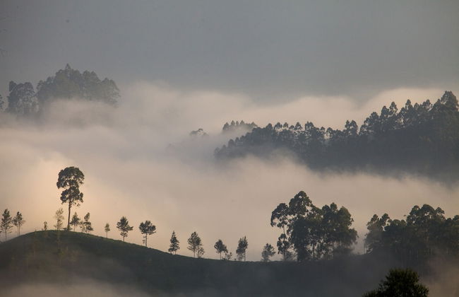 The Cavern - Foto 50