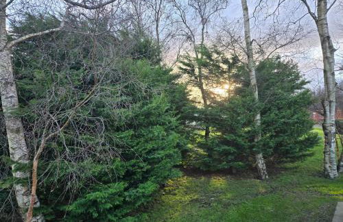 Elf Wood Lodge - Swimming Spa, Sky Sports, Tennis, Hadrian's Wall listing - Foto 35