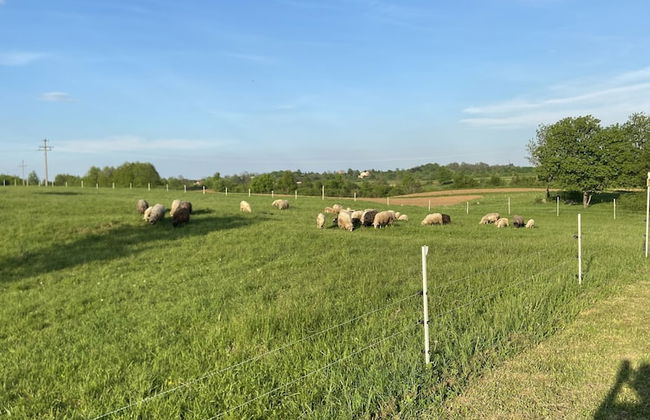 Villa Stone - Photo 58