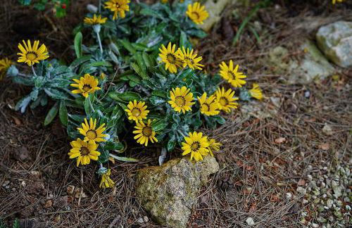 Villa Memia - Foto 3