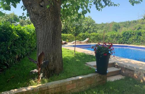 Villa Piedmont - Foto 10