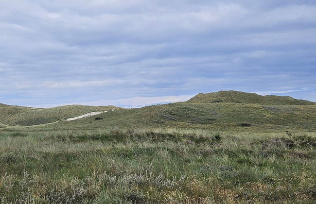 6 Person Holiday Home in Ulfborg - Foto 5