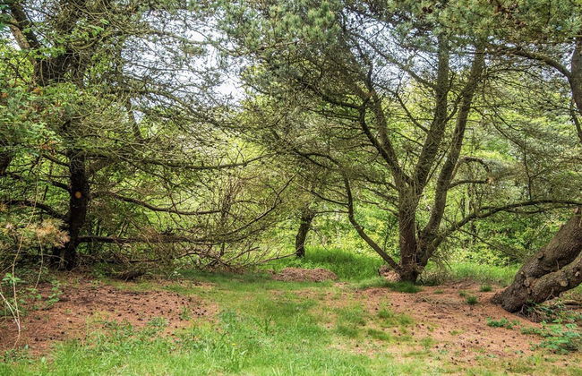 Secluded Retreat by Limfjorden - By Traum Ferienwohnungen - Foto 36