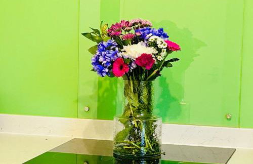 Vulcan Apartment - 3 Bedrooms - Sleeps 6 - Foto 57