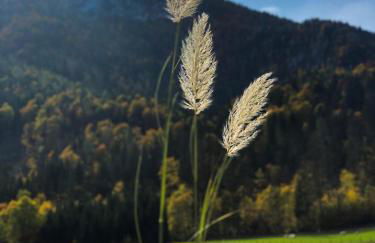 Kienberghof - Foto 22