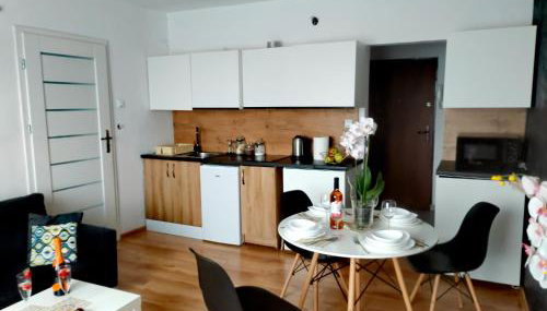 APARTAMENTY & DOMKI Chełmsko Śląskie - Foto 5, stove, minibar