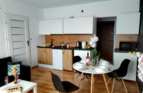 APARTAMENTY & DOMKI Chełmsko Śląskie - Foto 5