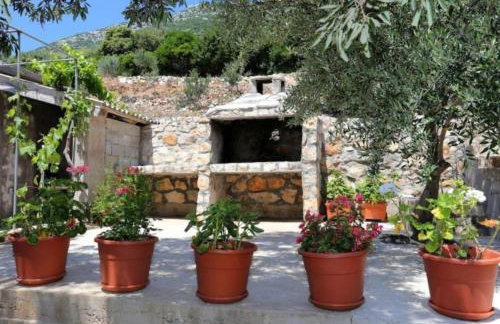 Robinson Lovorka - Foto 15