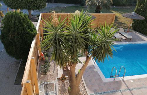 Island Rodos Pool Suites - Foto 35