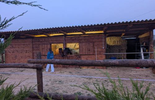 Anticopodere - Foto 2