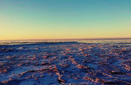 Habbo's Kojen - Photo 26