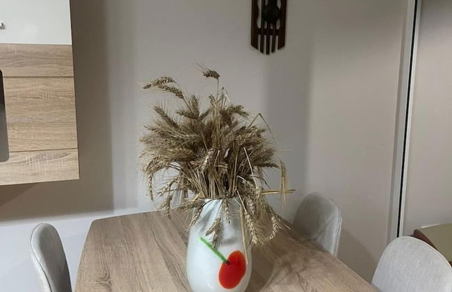 Kalpazo Home Skanderbeg Square - Photo 23