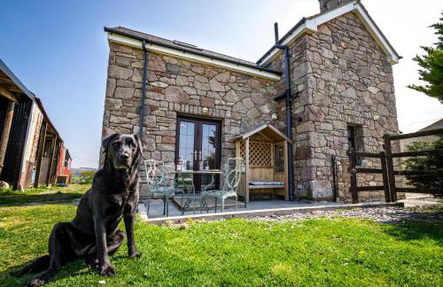 Conwy Pen Cefn Farm Holiday - Photo 9