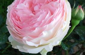 Le Pigeonnier - TG2260 - Foto 19