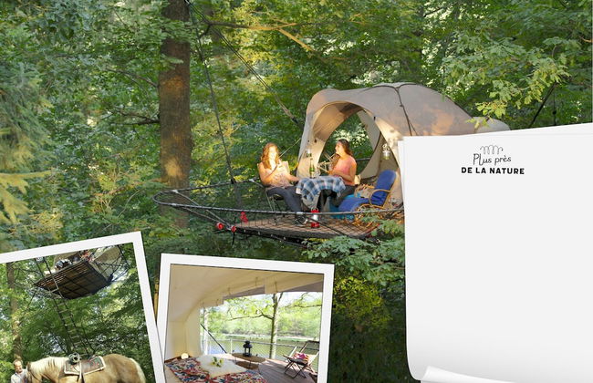 Eco Luxe Loft Lodge in the Heart of Nature for 2 People by the Lake 4 - Photo 26