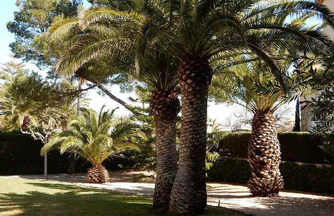 Villa Isalina - Foto 14