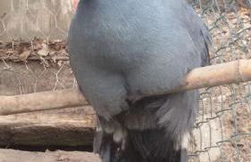 Agriturismo Andreis Alloggi - Foto 10