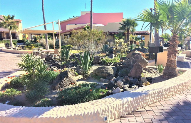 Pinacate 315 by Kivoya - Foto 31