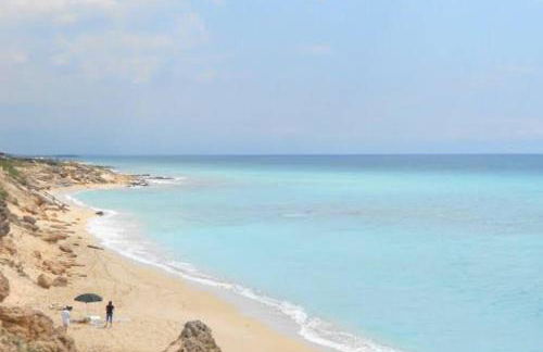 La Pergola di Amalia - Foto 13