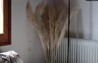 My Sweet Home - Foto 49