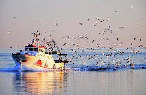La Casa del Pescatore n 33 - porto di St Spirito Bari - Foto 45