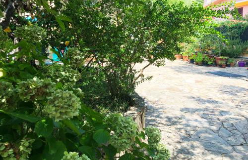 Mare Turchese - Foto 38