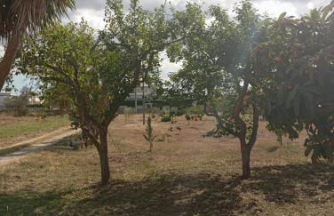 Casolare Giardino Aiarella-Assunta - Foto 53