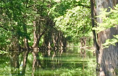 Swimming Hole - Foto 21