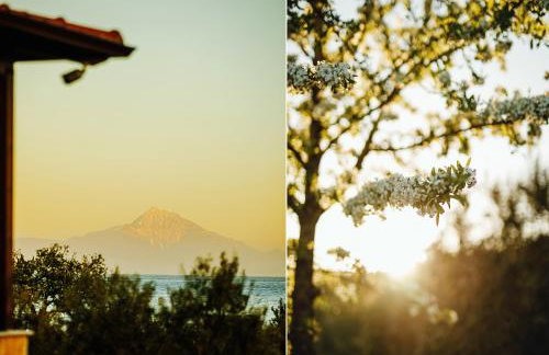 Casa Del Olivar - Foto 104