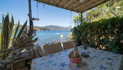 Agave direclty on the beach - Goelba - Foto 5