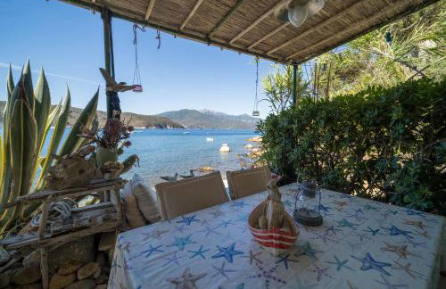 Agave direclty on the beach - Goelba - Foto 5