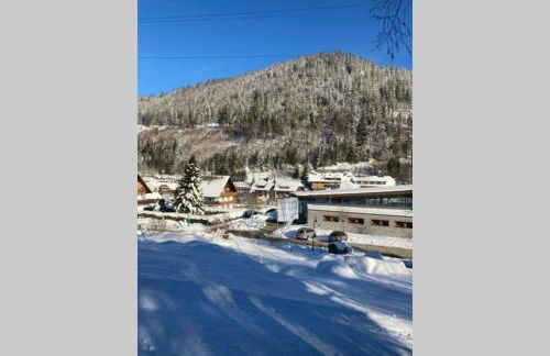Gemütliche Ferienwohnung in Sankt Blasien - Foto 40