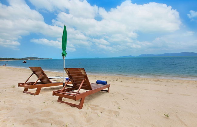 The Moonrakers - Photo 37