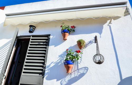 Alohamundi Campana - Foto 23