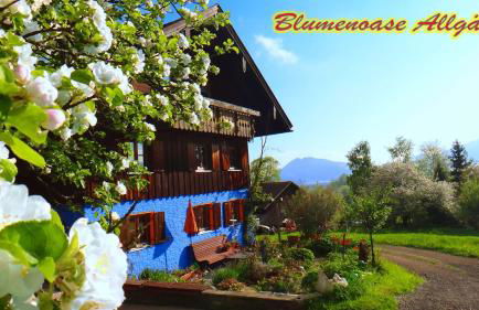 Blumenoase Allgäu - Foto 27