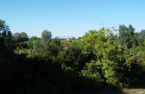 Alloggio a Sant Erasmo Venezia - Foto 6