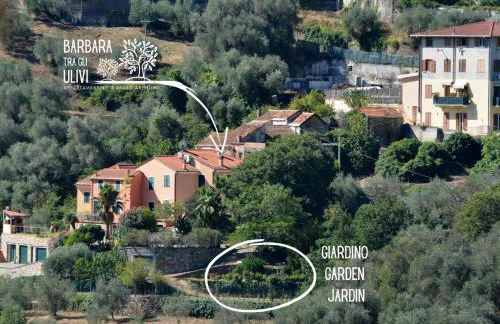 Barbara tra gli Ulivi - Foto 36