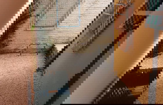 Bangalô Espaço Natureza - Foto 27