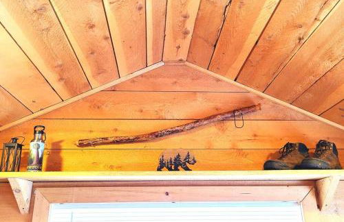 Sequoia Splendor, inside Kings Canyon NP by Visitors Center - Foto 16