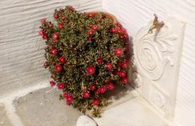 panormos studio - Photo 13